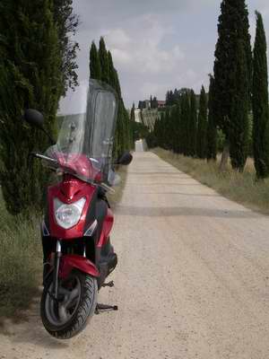CestaVChianti