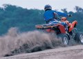 Maxxer 300
