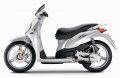 Malaguti Ciak 50 4T 50 Master