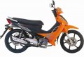 Nexxon 50