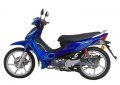 Nexxon 50