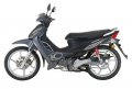 Nexxon 50