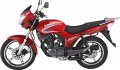 Pulsar 125