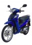 Nexxon 50
