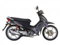 Nexxon 50