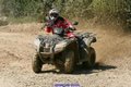 e0362a1154caa9bbcce3c616bcdf5e85.jpg