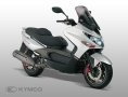 Xciting 300i R